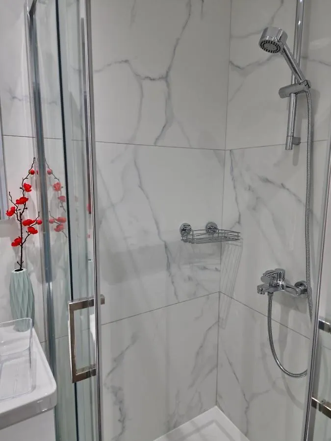 Carisa Deluxe Apartment With Jacuzzi Larnaca 0*,